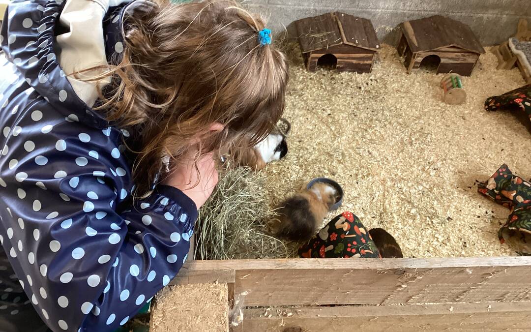 Elm Class visit Foxdown Children’s farm and Crealy